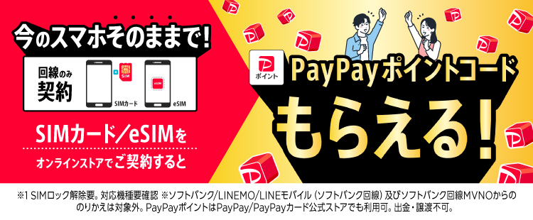 ワイモバSIM契約キャンペーン3