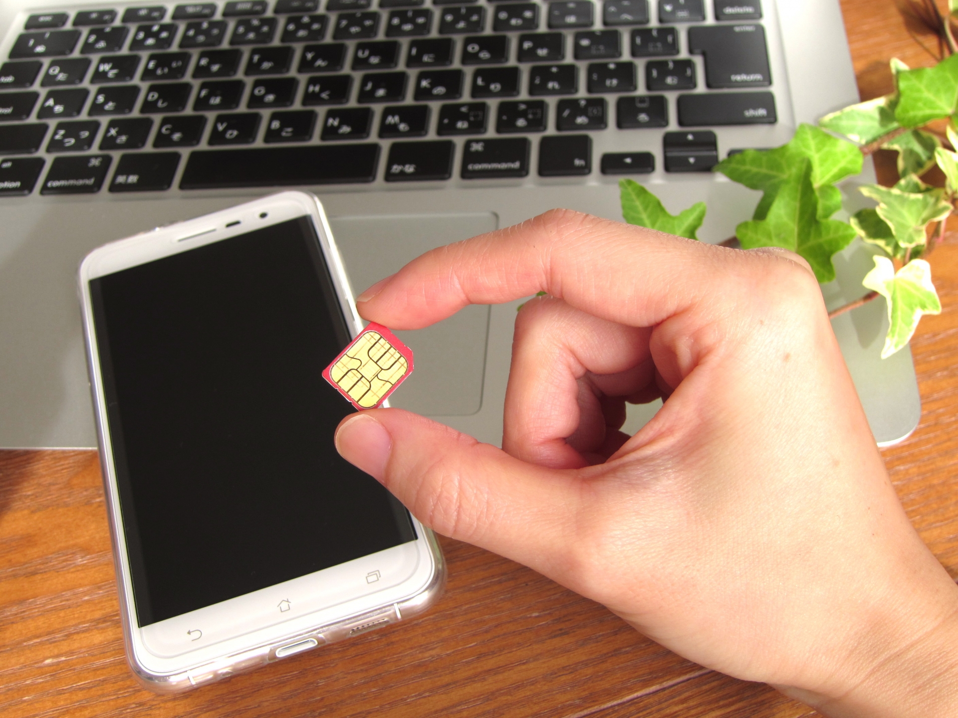 SIMのみ契約とは？今のスマホをそのまま使って携帯料金を節約する方法を解説