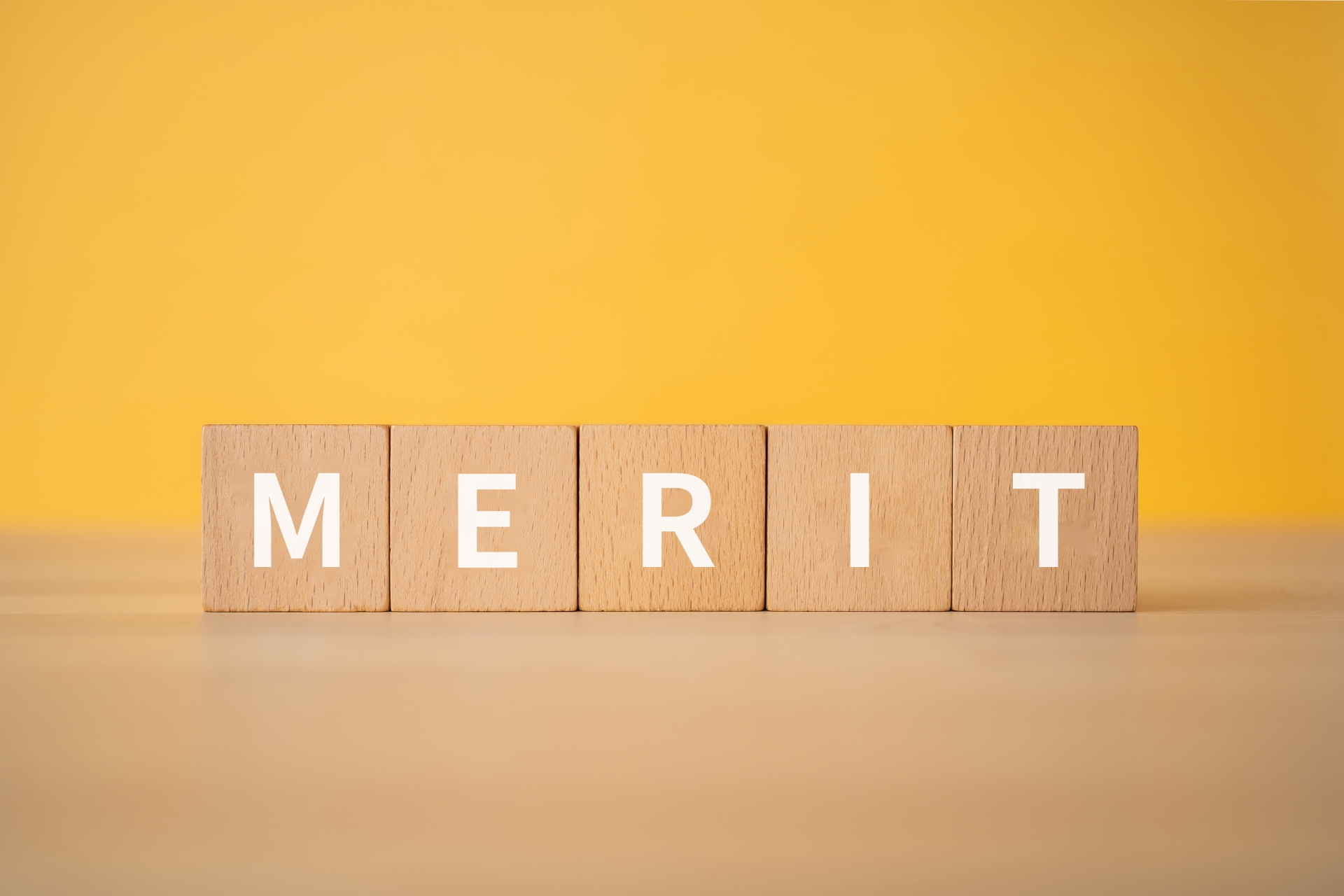 「MERIT」と書かれた積み木