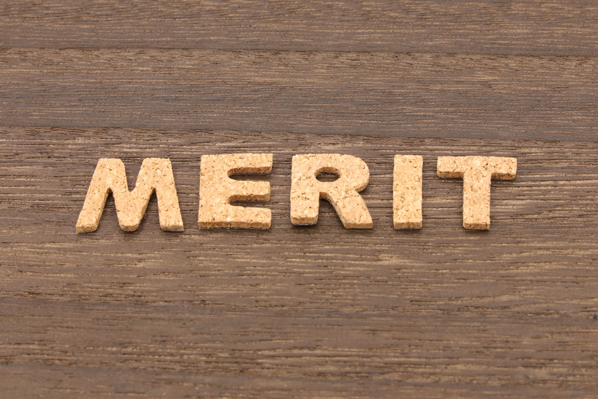 MERIT･メリットの文字素材